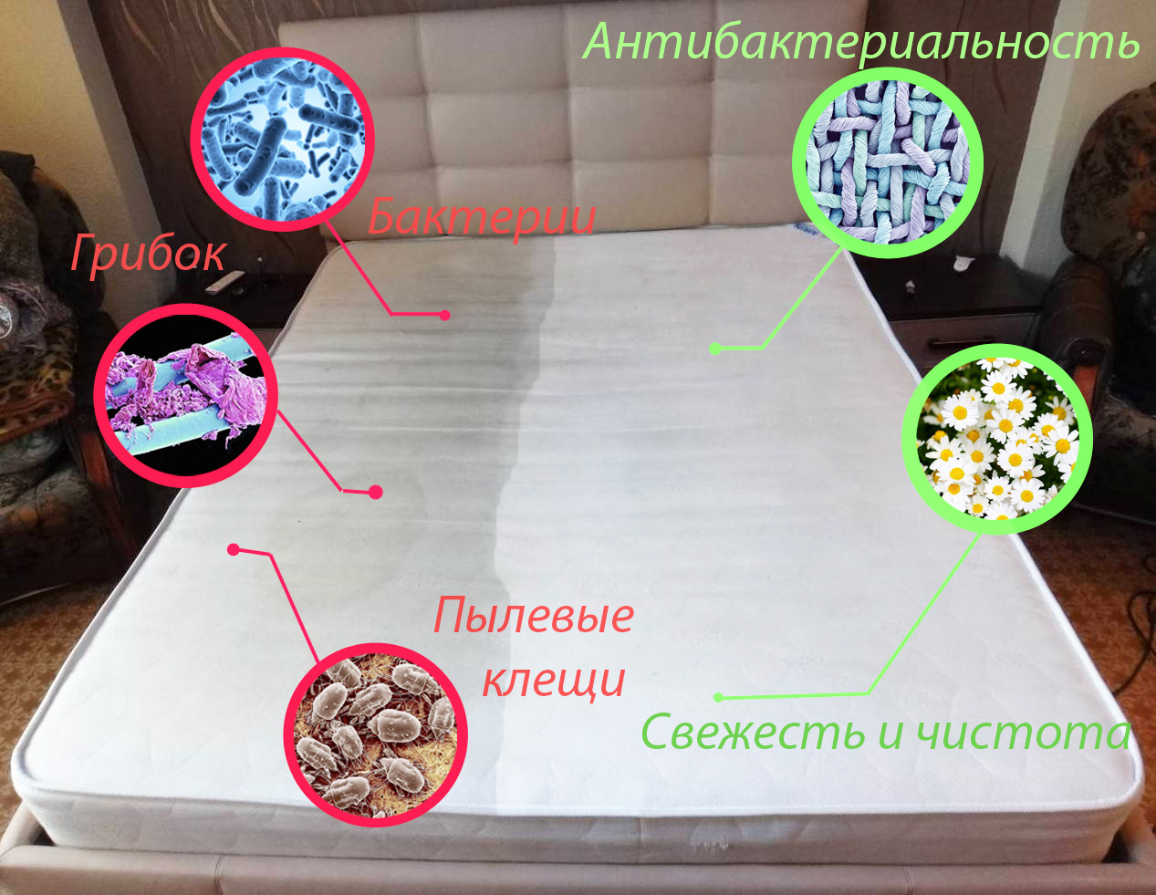 Как почистить матрас от пылевых клещей